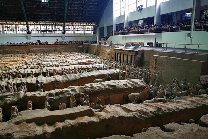 Flexible Private Xi'an Layover Tour - First stop: Qin Terra-cotta Warriors and Horses Museum