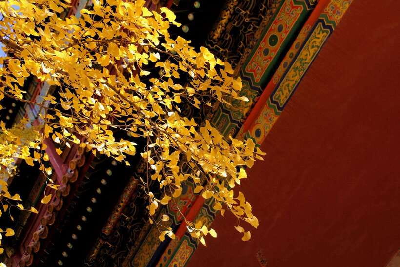 Forbidden City Of Beijing Tickets Booking And Other Option - Getting there: pickup options and realistic planning