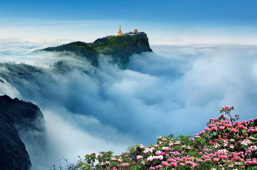 From Chengdu: Mount Emei Day Trip with Golden Summit Visit - Should you book this Mount Emei day trip?