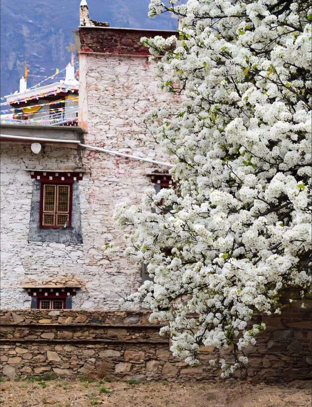 From Chengdu: Tibetan Village Live as a Tibetan Day Tour - Hiking, traditional clothing, and the climb that adds context