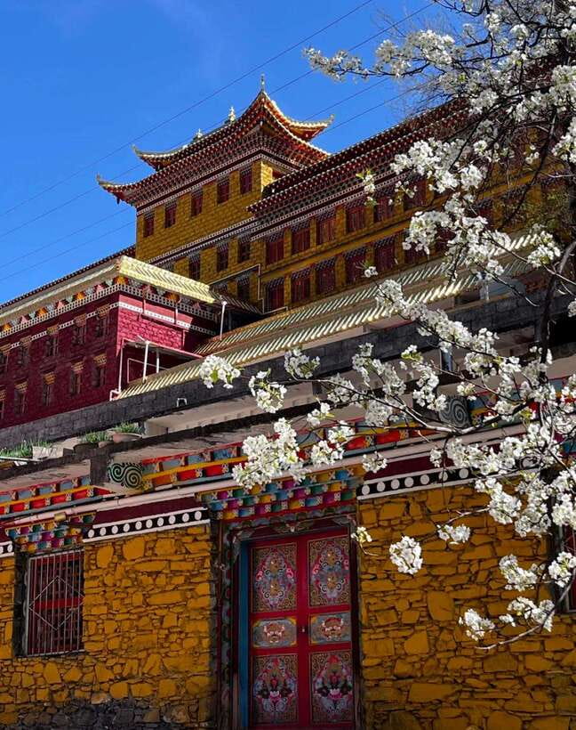 From Chengdu: Tibetan Village Live as a Tibetan Day Tour - Guozhuang dance, Hada exchange, and bonfire night