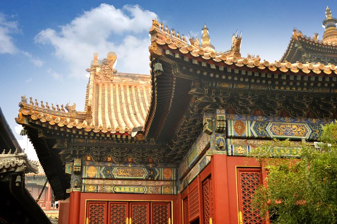 Full-Day Beijing City Tour: Hutongs, Lama Temple and Panda House - A packed but smart day of pandas, Buddhism, and old Beijing