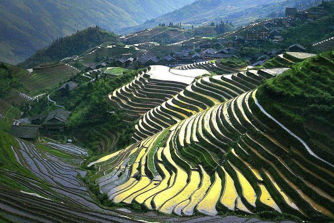Full-day Tour: Longji Rice Terraces & Minority Villages - Ping’an Zhuang Terraced Fields: Nine Dragons, Five Tigers, and Real Altitude