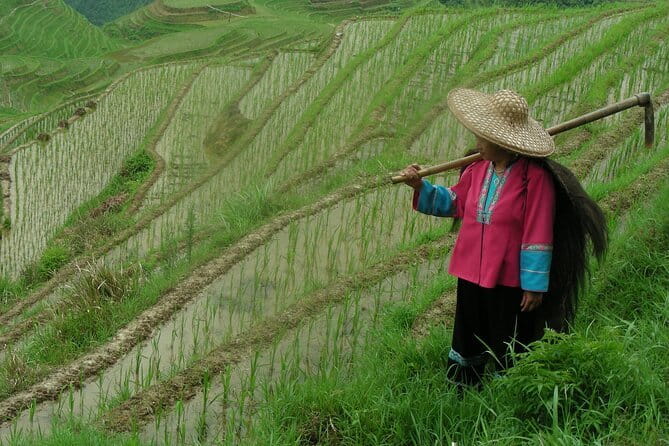 Fully-Guided Private Day Tour of Longji Terraces From Guilin - Choosing your terrace experience: Ping’an, Ancient Zhuang, or Jinkeng (Dazhai)