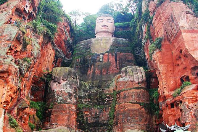 Giant Panda and Leshan Buddha Day Trip from Chengdu - Stop 1: Giant Panda Breeding Research Base, where bamboo time matters