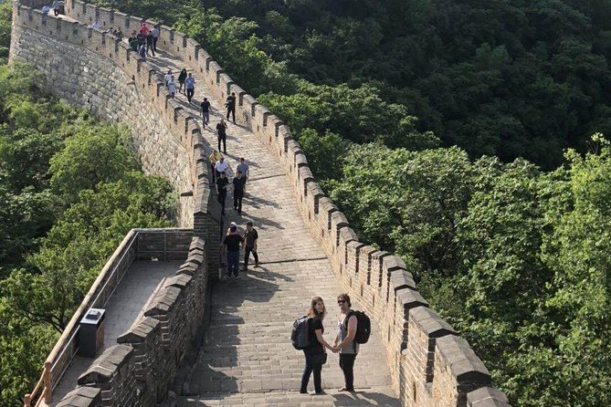 Great Wall & Temple of Heaven Private Layover Guided Tour - What’s Included, What’s Not, and What to Bring