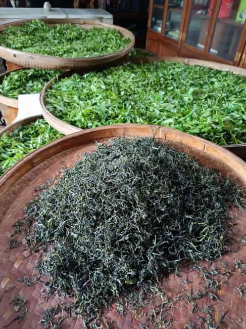 Guilin: City Tour with Elephant Hill & Ming Tea Tasting - Hotel pickup to return drop-off: how this 4-hour rhythm really works