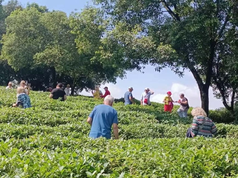 Guilin: City Tour with Elephant Hill & Ming Tea Tasting - Elephant Trunk Hill by the Lijiang River: photos, legends, and a guided 1-hour walk