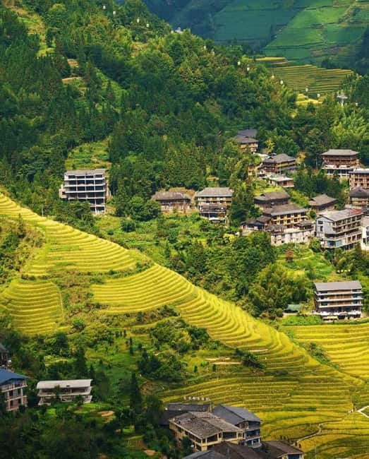Guilin Longji: Rice Terrace with Oil-Tea Demo & Zhuang Lunch - Ping’an Village oil-tea workshop: food you make, not just food you eat
