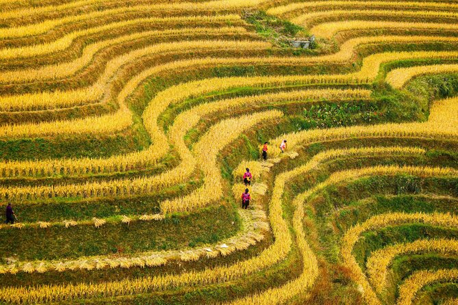 Guilin: Longji Rice Terraces and Villages Private Day Tour - The Big Logistics Tip: Where You Sleep the Night Before
