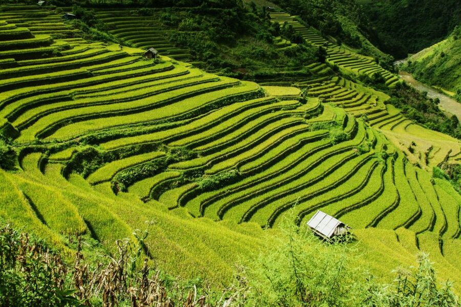 Guilin Longji Terraces Private Day Tour - Key things to know before you go