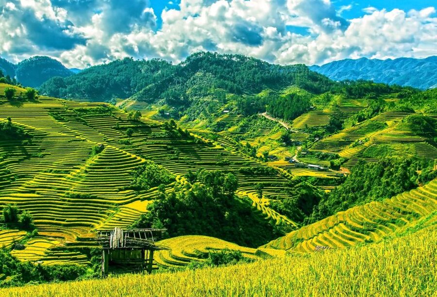 Guilin Longji Terraces Private Day Tour - Longji Terraces plus Huangluo hair tradition: what makes this private day work