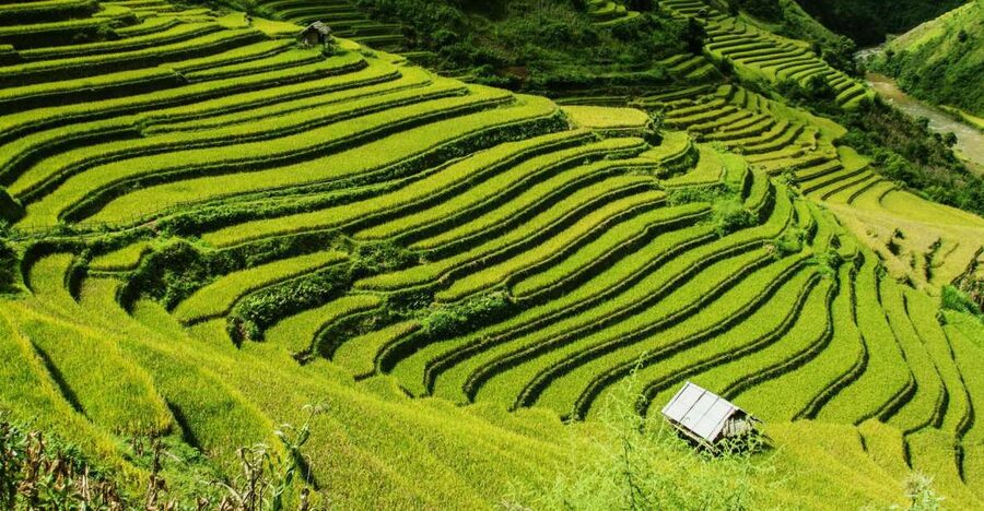 Guilin Longji Terraces Private Day Tour - Huangluo Long Hair Show with Yao women, and the Guinness hair record