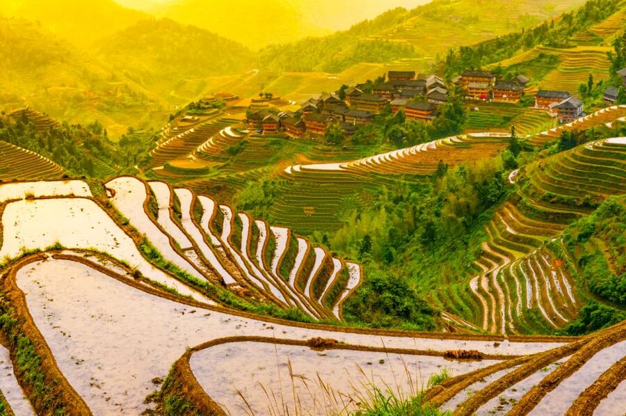 Guilin Longji Terraces Private Day Tour - Who this Guilin Longji Terraces private tour suits best