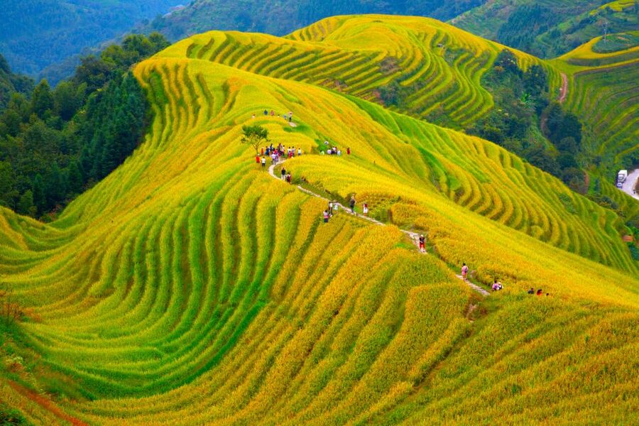 Guilin Longji Terraces Private Day Tour - 8am pickup in Guilin and the road to Longsheng Rice Terrace