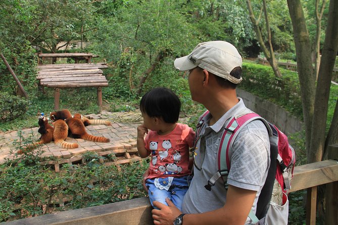 Half-Day Chengdu Panda Research Base Private Tour - Hotel Pickup, Private Car Timing, and Mobile Ticket Convenience