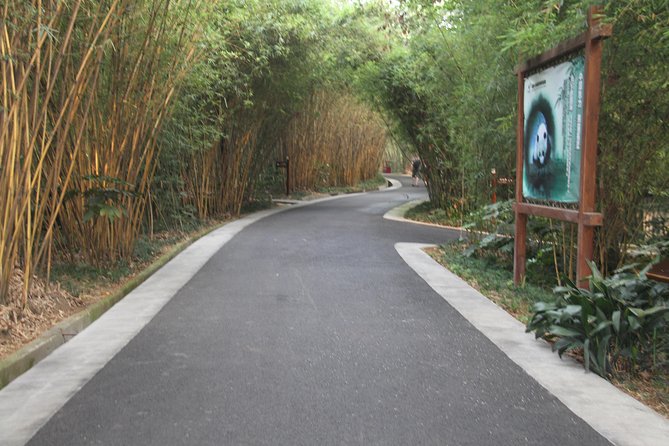 Half-Day Chengdu Panda Research Base Private Tour - Entering Xiongmao Jidi: The Panda Breeding Research Base Visit