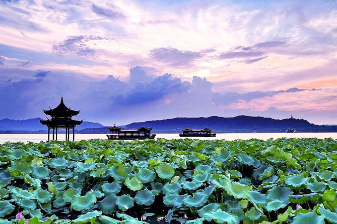 Half-Day Flexible Private Hangzhou Highlight Tour - Longjing tea fields and Dragon Well tea culture in a city-adjacent village