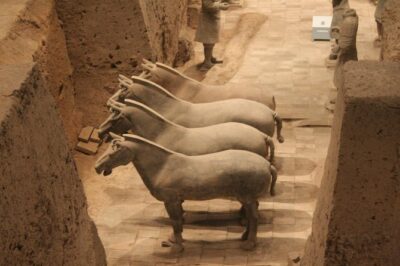Exclusive Terracotta Army Tour & Local Family Lunch