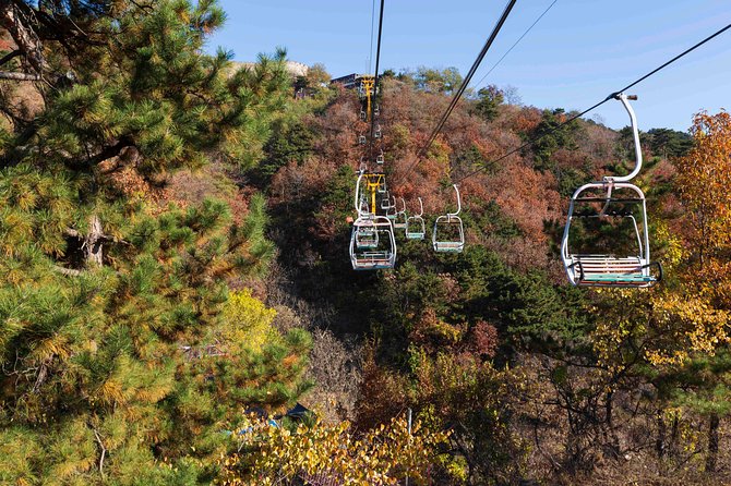 Half Day Mutianyu Great Wall private tour - Price and value: $220 per person is reasonable when you value time and ease