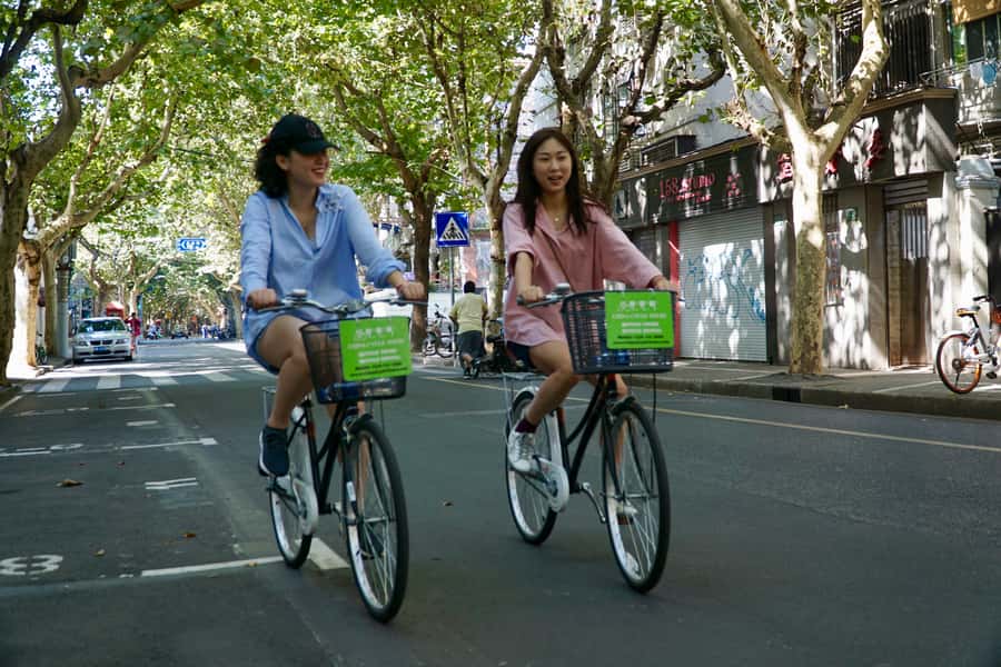 Half-Day Old Shanghai Small Group Bike Tour (Day & Night) - Who This Tour Suits Best, and Who Might Want a Different Option