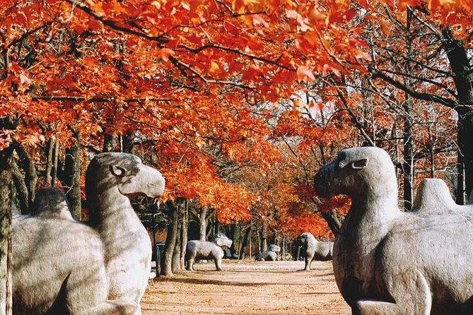 Half-Day Private Customized Nanjing City Tour - A private half-day that actually lets you steer the day