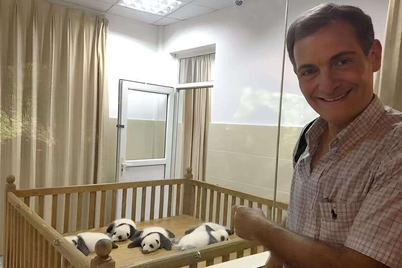 Half day small group tour to Chengdu Panda Breeding Center - Hotel Pickup and Drop-Off Inside Chengdu’s 3rd Ring Road