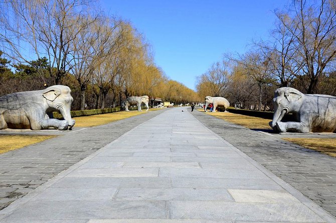 Half Day Tour to Ming Tombs Underground Palace and Sacred Path from Beijing - Dingling Underground Palace: stepping into the real engineering