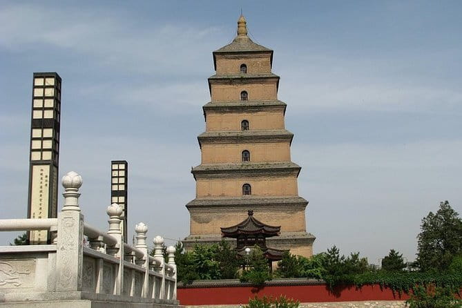 Half Day Tour to Xi'an Wild Panda Breeding and Protecting Center - Lunch and Included Fees: Is $120 Good Value?
