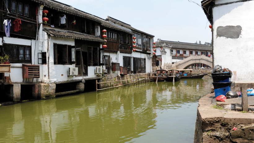 Half-Day Zhujiajiao Water Town Wonders Small Group Tour - The 7 to 8 Hours, How It Usually Feels on the Ground