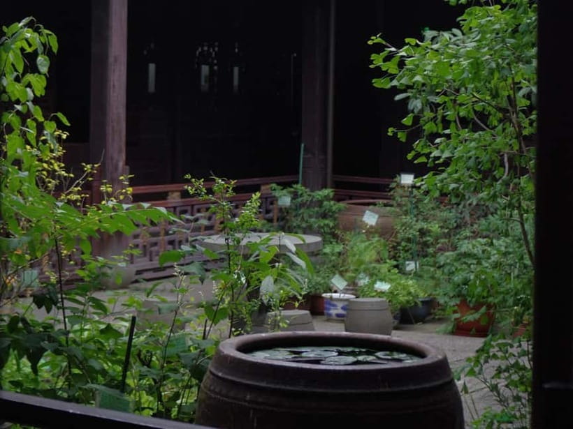 Hangzhou Insider Mini-Hike: TCM, Hill Views and Wet Market - Wu Shan Hill trails and temples, Cheng Huang Miao, and zodiac rocks