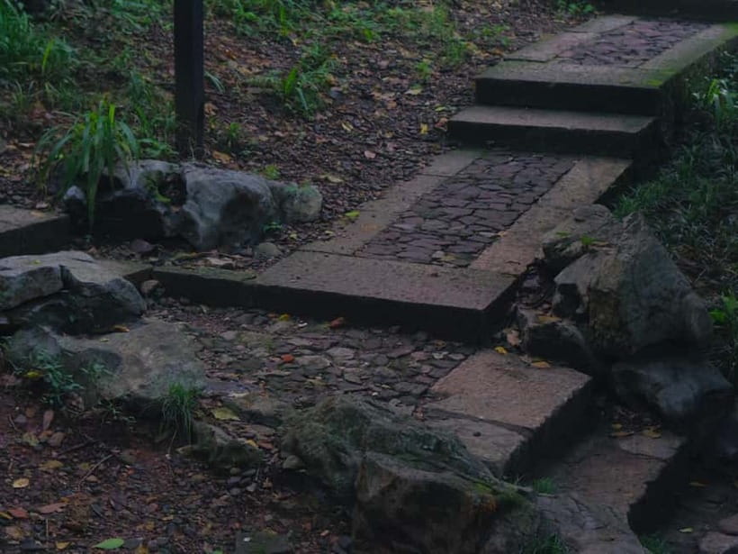 Hangzhou Insider Mini-Hike: TCM, Hill Views and Wet Market - The hidden West Lake viewpoint pavilion, where the skyline finally pays off