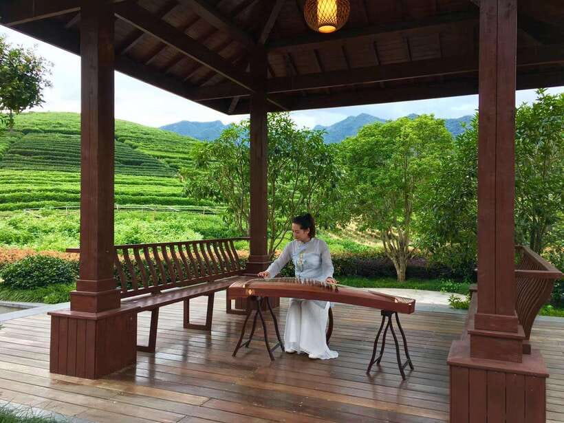 Hangzhou Private Day Trip by Bullet Train from Shanghai - Why this Hangzhou day works so well from Shanghai