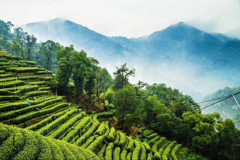 Hangzhou Private Day Trip by Bullet Train from Shanghai - Price and value check: what you are really paying for