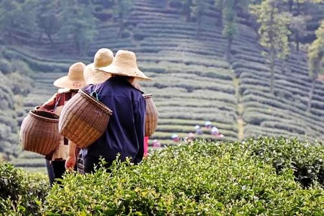 Hangzhou Private Flexible Day Tour with West Lake Boat Cruise - How the day flows, from pickup to West Lake by boat