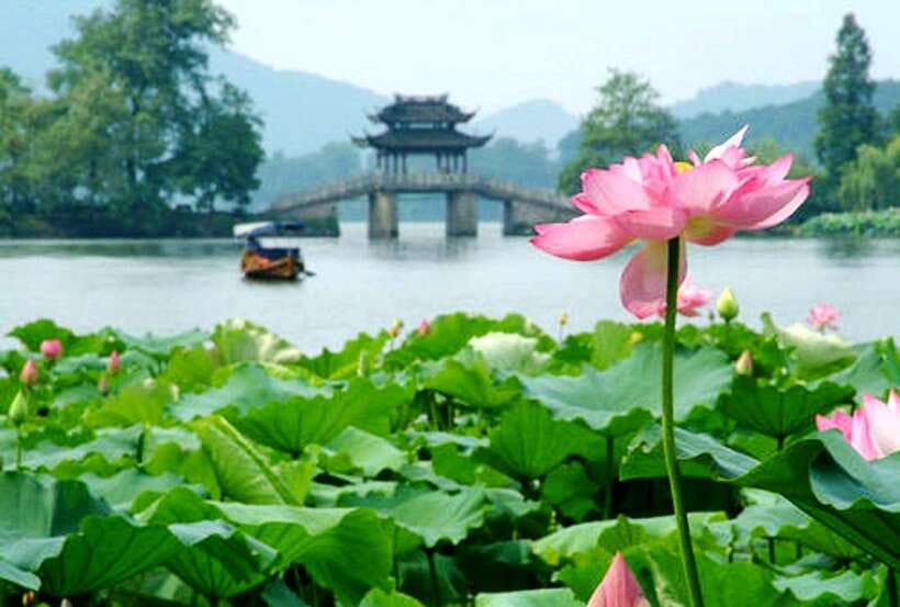 Hangzhou Private One Day Trip from Shanghai by Bullet Train - Who This Private Trip Fits Best