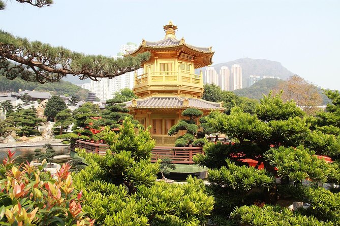 Hong Kong Layover Tour Private & Personalized with Local Guide - Golden Bauhinia and Harbor Views, Explained Simply