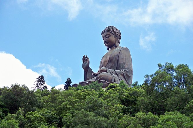 Hong Kong Layover Tour Private & Personalized with Local Guide - Peaceful Garden Paths to Skyline Views (And Flex Time)