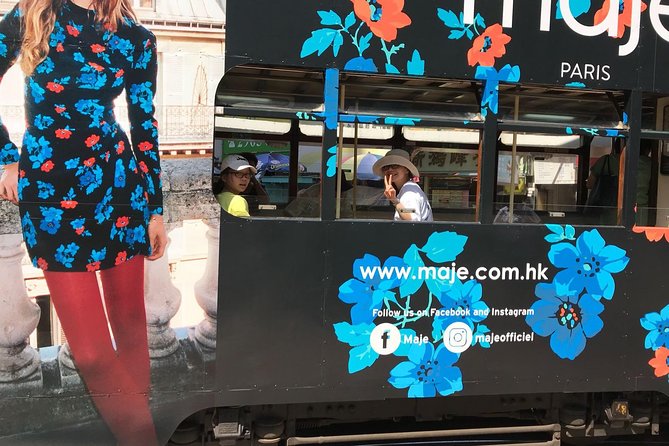 Hong Kong｜Private Sightseeing Tour with Local Driver-Guide - What the driver guide actually adds to your day