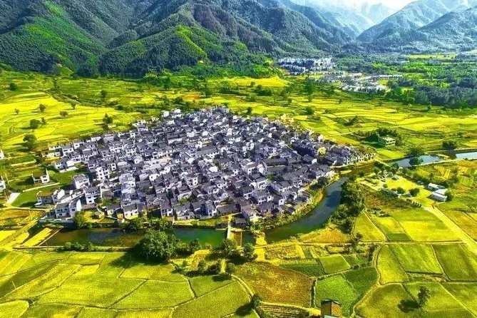 Hongcun Ancient Village Half-Day Private Tour from Huangshan - Bamboo sea time: a short walk with big payoff