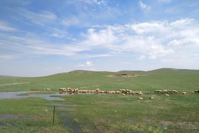 Huhhot 4D3N Inner Mongolia Grassland and desert nature tours - Wudang Zhao Monastery in Baotou: culture time that resets your pace
