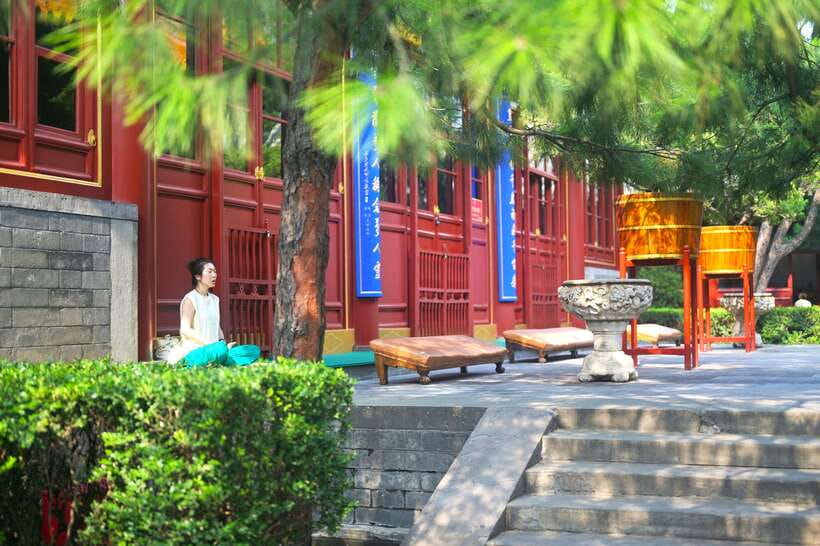 Hutong Walking Tour: Discover Real Beijing without Crowds - 正阳书局: The Bookshop Stop That Feels Like a Local Habit