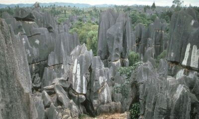 Stone Forest Private Day Tour