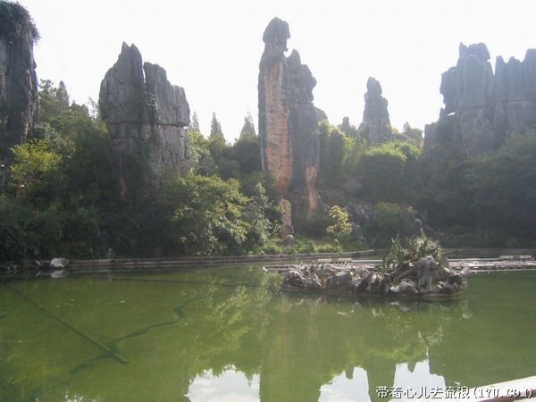 Kunming: Stone Forest Private Day Tour - Should you book this Kunming Stone Forest Private Day Tour?