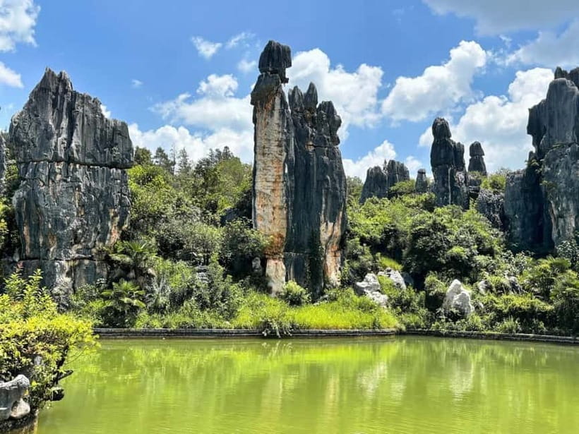 Kunming: Stone Forest, Roast Duck Lunch and City Tour - Quick takes you can use right now