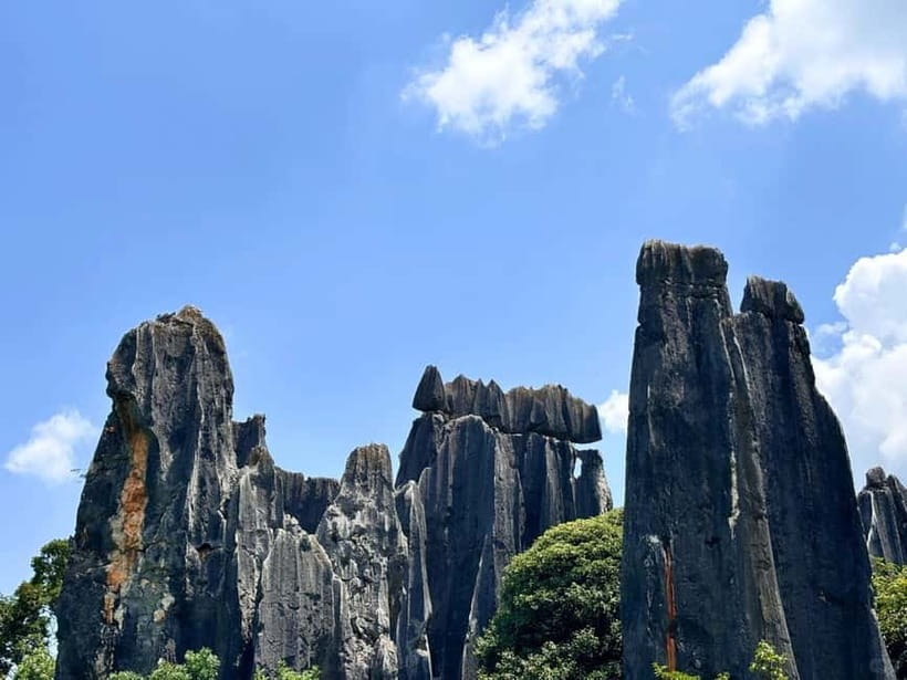 Kunming: Stone Forest, Roast Duck Lunch and City Tour - Stone Forest UNESCO: the geology you can actually walk through