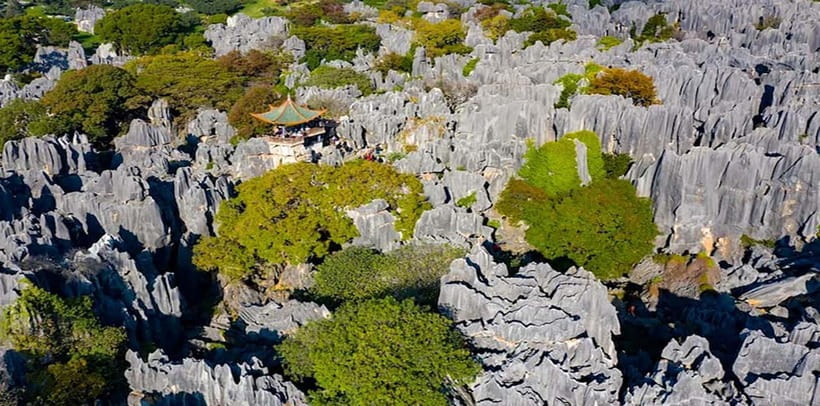 Kunming: Stone Forest, Roast Duck Lunch and City Tour - Yiliang roast duck lunch: worth it, but plan for portion reality
