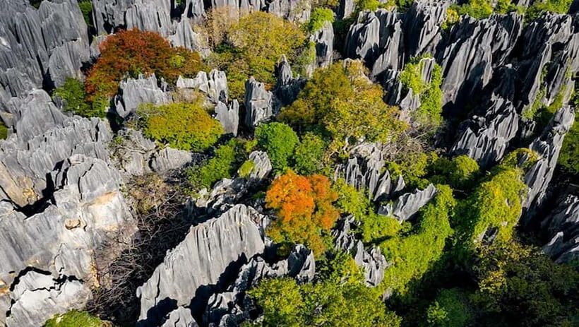 Kunming: Stone Forest, Roast Duck Lunch and City Tour - Private tour logistics and the value of customization