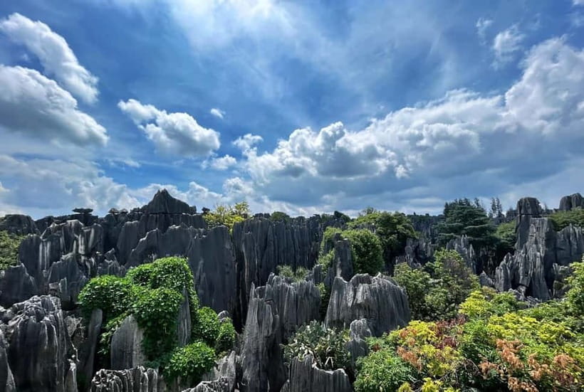 Kunming: Stone Forest, Roast Duck Lunch and City Tour - Pick your day: up to 6 hours or up to 10 hours