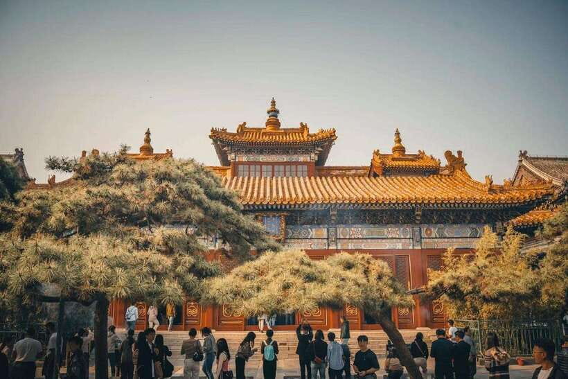 Lama Temple Entry Ticket - Price and Value, why $19 makes sense for a ticket booking service